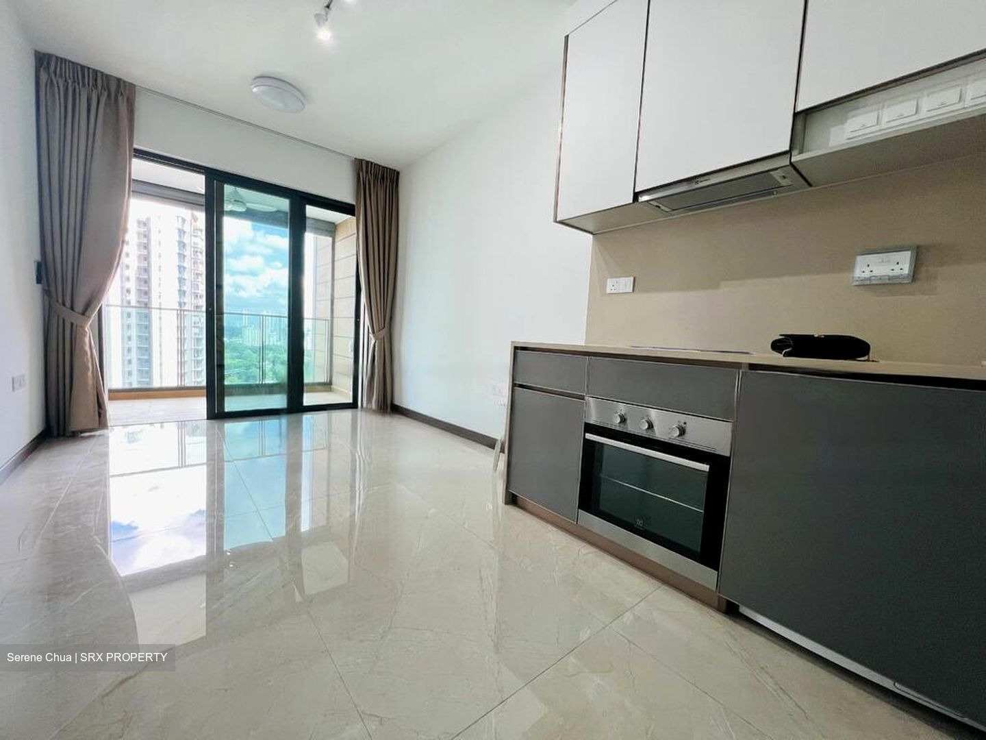 Normanton Park (D5), Apartment #432925381